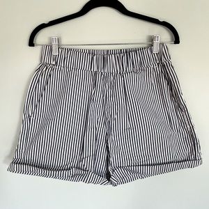 Everlane Pinstripe Navy & White Shorts